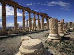 Las ruinas de la ciudad son sede del Imperio de Palmira bajo el reinado de Zenobia, en el siglo III. AFP / J. Eid