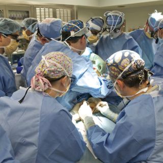 Arrestan a cinco por querer forzar a marroquí a vender un riñón