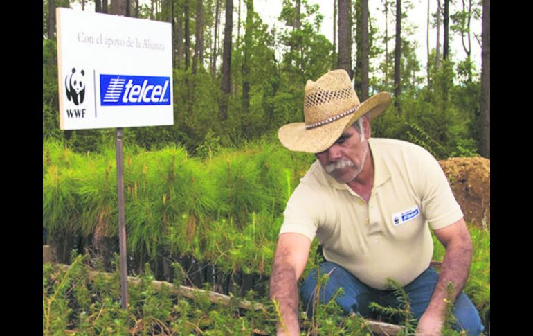 La telefónica está comprometida en programas relacionados con el campo y la salud, además de reciclaje de equipos y aparatos celulares ESPECIAL /