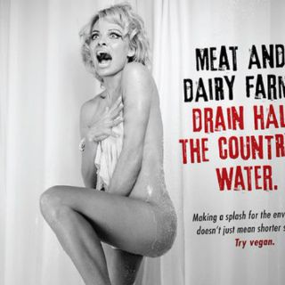 Pamela Anderson se desnuda con causa