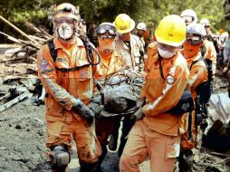 Rescatistas sacan un cuerpo recuperado de entre el lodo, tras la avalancha de una quebrada. EFE / L. Noriega