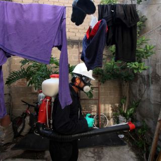 Jalisco disminuye casos de dengue en 2015