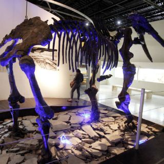 El Cuaternario es hoy... aún