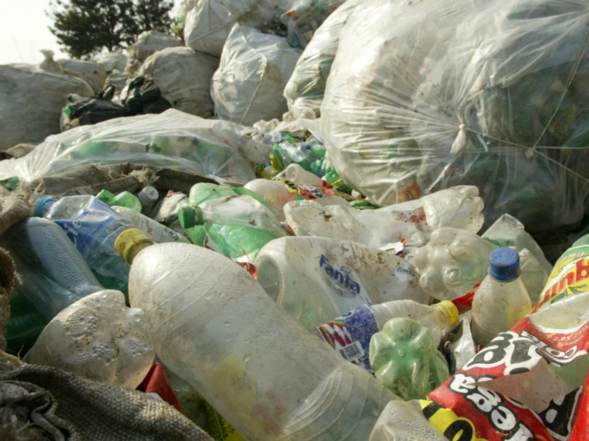 Los diez productos reciclar mejor pagados | El Informador