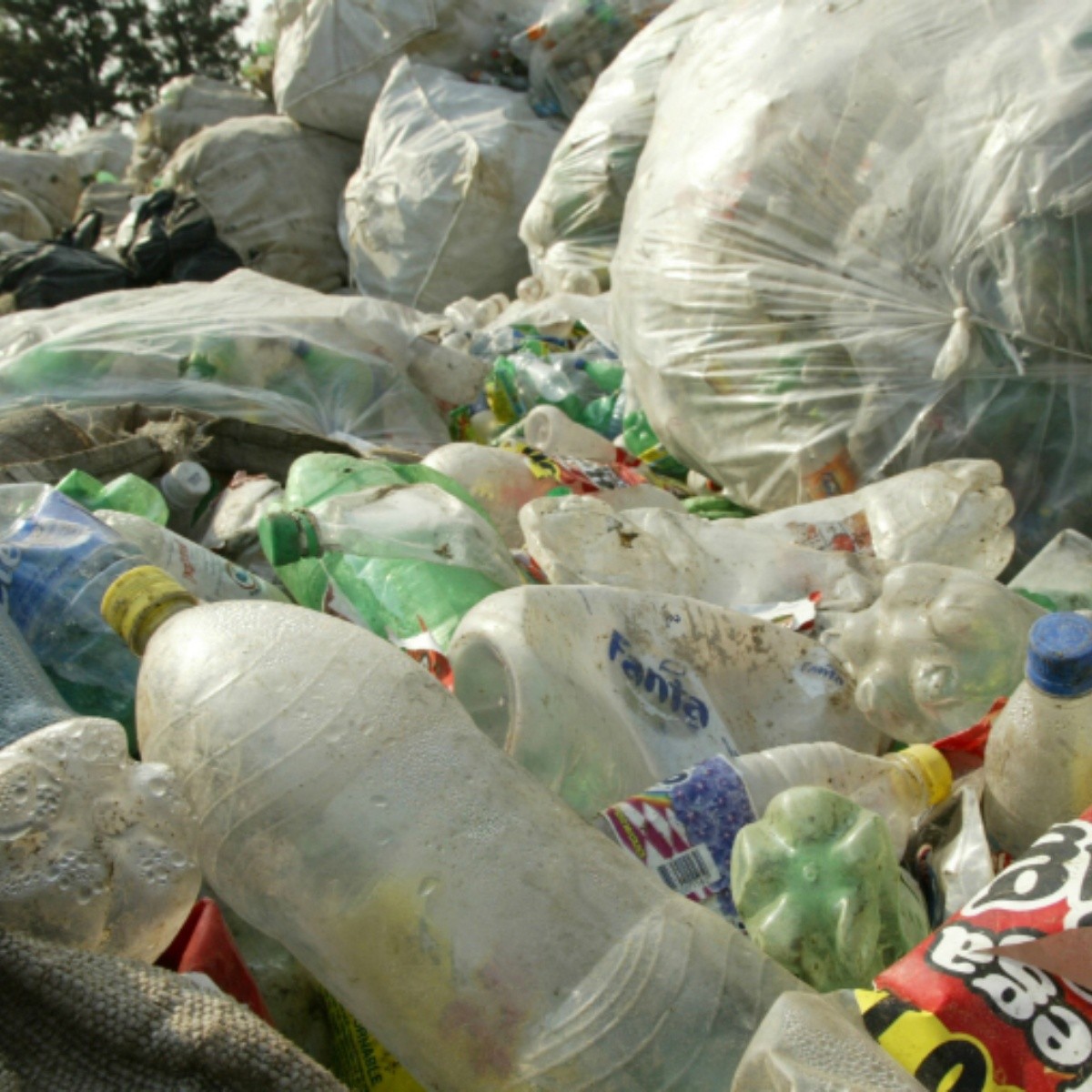 Los diez productos para reciclar mejor pagados | El
