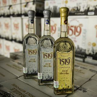 Participarán 200 marcas en el segundo Festival del Tequila