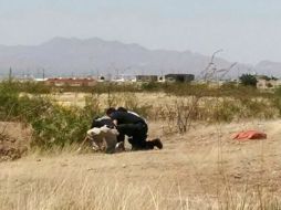 El niño fue encontrado muerto el pasado domingo; los cinco menores acusados dicen que pretendían recrear un secuestro. EFE / ARCHIVO