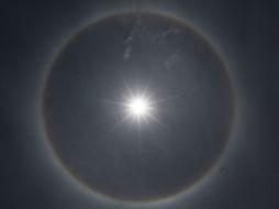 La cuenta tiene hasta el momento 113 seguidores. NTX / J. Espinosa