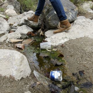 Buscan mayor presupuesto para biodiversidad jalisciense