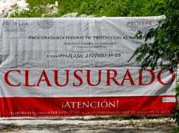 Se devastaron más de 200 hectáreas de las que 149 eran zonas de competencia federal. NTX / ARCHIVO