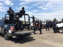 El hecho se registra en un rancho llamado El Sol en las inmediaciones del kilómetro 370 de la autopista Guadalajara-Morelia. EL INFORMADOR /