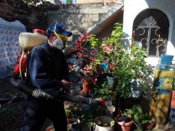 Si se presenta un caso probable de dengue, inmediatamente la SSJ fumigará con motomochila. EL INFORMADOR / ARCHIVO