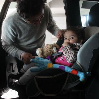 Demandan fomentar el uso de silla portainfantes