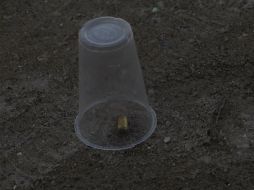 El hecho se efectuó durante la mañana, pero no cobró víctimas. EL INFORMADOR / ARCHIVO