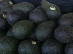 El precio del kilo de aguacate tuvo su punto más alto en la capital jalisciense. NTX / ARCHIVO