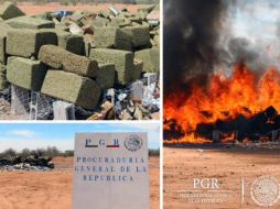 Los tres adultos y la droga asegurada quedaron a disposición del Ministerio Público de la Federación. TWITTER / @PGR_Sonora