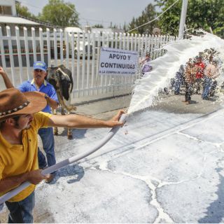 Lecheros amenazan con sacrificar vacas