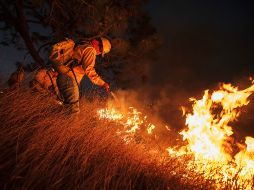 Detallan que la actividad humana es la principal causa de los incendios, entre ellas fogatas o personas que tiran cotillas de cigarro. EL INFORMADOR / ARCHIVO