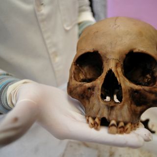 El primer asesinato demostrado de la historia tiene 430 mil años