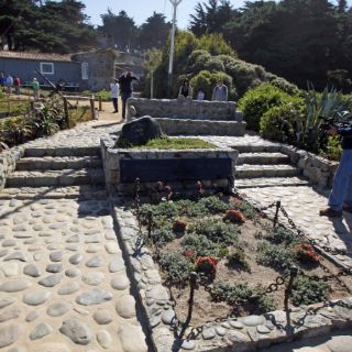 Forenses hallan particular bacteria en restos de Pablo Neruda