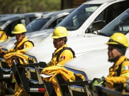 De las entidades en México, Jalisco tiene mayor preparación para enfrentar desastres por la cantidad de brigadistas con la que cuenta. EL INFORMADOR / ARCHIVO