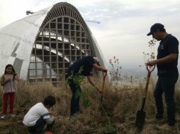 Este 2015 Extra AC se ha fijado como meta plantar 300 mil árboles. EL INFORMADOR / A. Camacho