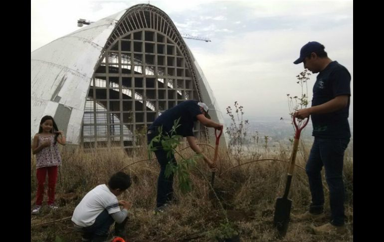 Este 2015 Extra AC se ha fijado como meta plantar 300 mil árboles. EL INFORMADOR / A. Camacho