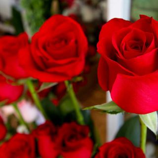 Franceses celebran el Día de las Madres con flores y pasteles