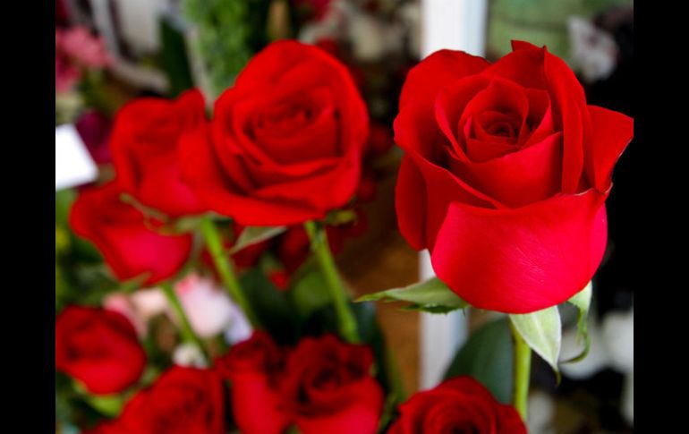 La fiesta de las madres es el momento del año en el que se regalan más flores, por delante de Saint-Valentin o Navidades. EL INFORMADOR / ARCHIVO