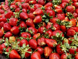 Las frutas del bosque contienen polifenoles y son esenciales para combatir el estrés oxidativo. EFE / ARCHIVO