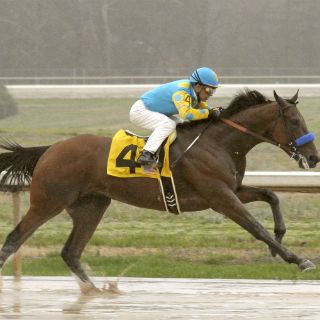 Espinoza, en tercer intento por ganar Triple Corona