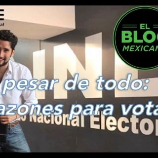 El Blog Mexicano: Razones para votar