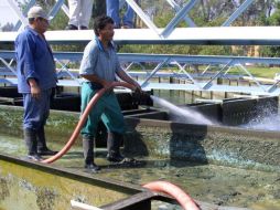 Además de los nuevos pozos, se rehabilitaran 15 pozos más, se equiparán seis y se crearán tres líneas de interconexión. EL INFORMADOR / ARCHIVO