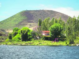 Atractivo. El 15 de junio es la fecha límite para que la presa quede libre de lirio. EL INFORMADOR /