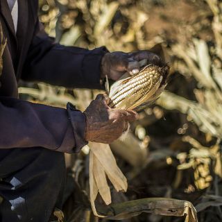 La Sagarpa llama a encarecer sistema alimentario