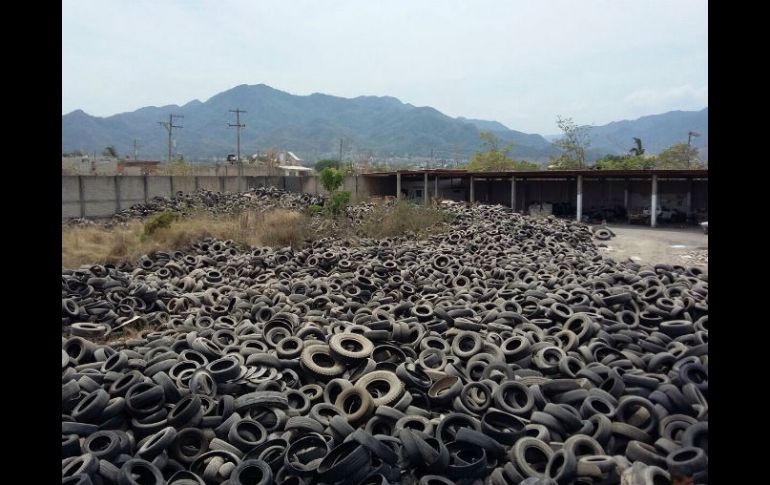 La Secretaría de Salud Jalisco documentó con fotografías el terreno lleno de llantas. ESPECIAL /