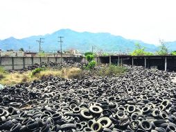 DESATENCIÓN. En un terreno del propio Ayuntamiento de Puerto Vallarta se encontraron cientos de llantas. ESPECIAL /