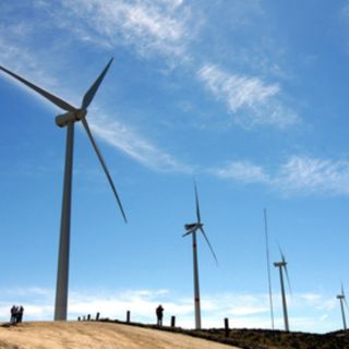 Soriana invertirá 260 MDD en dos parques eólicos