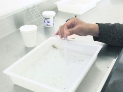 Alerta. La Unidad Estatal de Investigación Entomológica de la Región Occidente fue abierta en Jalisco desde julio de 2014. EL INFORMADOR / M. Vargas