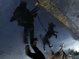 El pronóstico para gran parte del país sigue siendo de lluvia. EL INFORMADOR / ARCHIVO