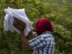 El IEPC presenta una denuncia ante el Ministerio Público y ante la Fepade. AP / R. Blackwell
