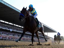 Espinoza y 'American Pharoah' ganan la edición 147 del derby Belmont Stakes. AFP / R. Carr