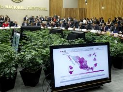 Los consejeros exponen que las encuestas de salida tienen muy poca capacidad predictiva en cuanto a resultados cerrados. SUN / Y. Xolalpa