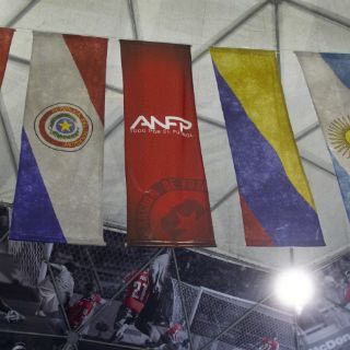 Copa América 2015 va firme contra violencia en estadios
