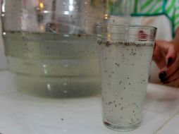 Lo más frecuente es prepararla como agua fresca, agregándola al agua de limón, y en aveces con hojas de menta fresca. NTX / ARCHIVO
