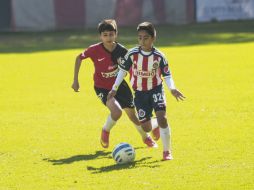 Las fuerzas básicas del Guadalajara están consideradas como una de las mejores del futbol mexicano. EL INFORMADOR / ARCHIVO