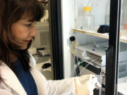 Carrasco Queijeiro espera que este reconocimiento sirva como fuente de inspiración. ESPECIAL / dgcs.unam.mx