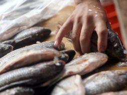 El pescado ayuda a mantener un nivel bajo en colesterol. EL INFORMADOR / ARCHIVO