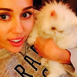 Miley Cyrus vende residencia del sur de California