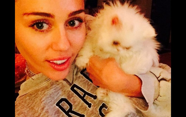 En abril pasado, la cantante estadunidense compró una residencia en Hidden Hills, California, por cinco millones de dólares. INSTAGRAM / mileycyrus